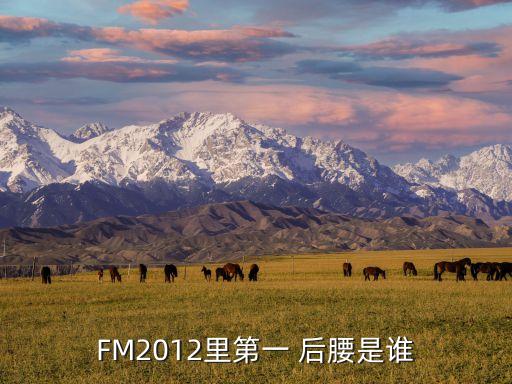 fm2018 后腰買哪個(gè),首次亮相我國(guó)男籃球員陣容曝光
