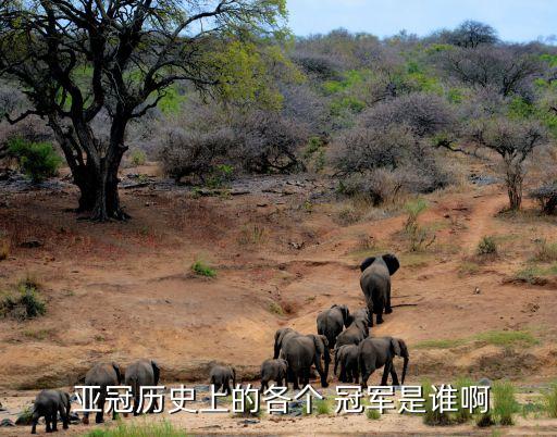  亞冠歷史上的各個 冠軍是誰啊