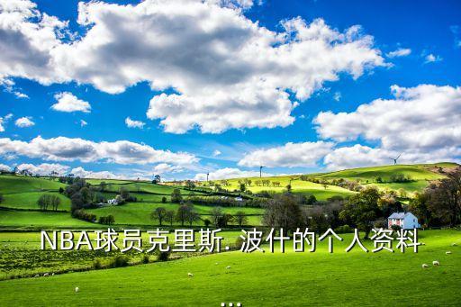 波什現(xiàn)在在哪個隊?,nba球員波什回顧職業(yè)生涯
