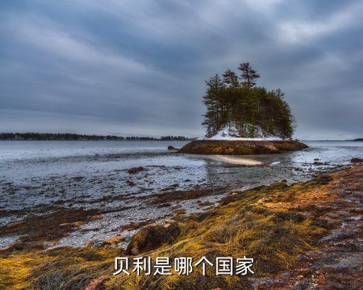 貝利哪個隊,貝利職業(yè)生涯戰(zhàn)績?nèi)?包魯競技；桑托斯