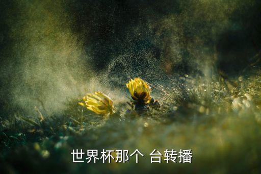 哪個(gè)臺(tái)轉(zhuǎn)世界杯,央視直播56場比賽全程直播美國女籃四連冠
