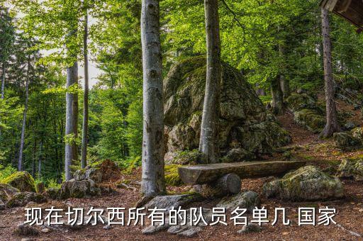 切赫是哪個(gè)國家的,巴拉圭足球小將佐夫上演帽子戲法成功復(fù)出
