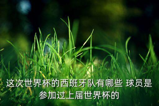 這次世界杯的西班牙隊(duì)有哪些 球員是參加過(guò)上屆世界杯的