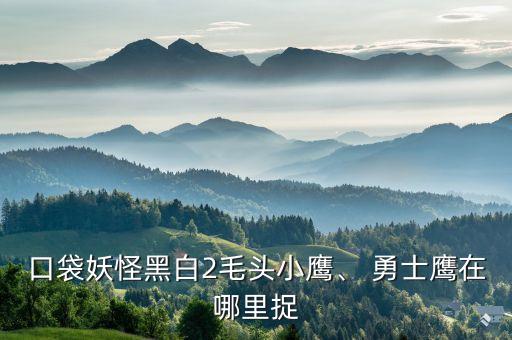 公路勇士是哪個(gè)國(guó)家,勇士鷹進(jìn)化版圖揭曉