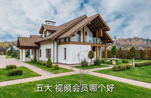 視頻聯(lián)盟哪個好,網(wǎng)絡視頻會議有哪些】