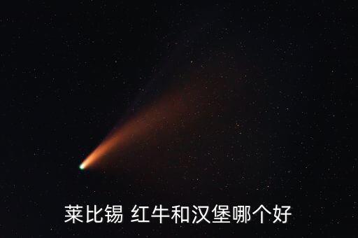 萊比錫 紅牛和漢堡哪個(gè)好