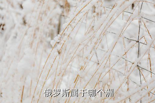  俄羅斯屬于哪個洲
