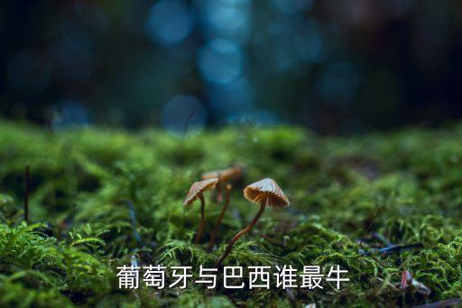  葡萄牙與巴西誰(shuí)最牛