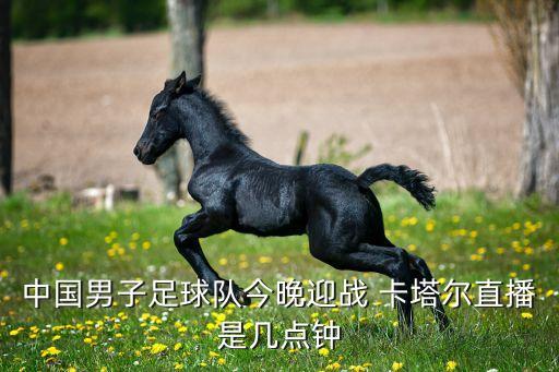 中國對卡塔爾哪個臺演,我國足球男隊復賽再次敗給韓國隊