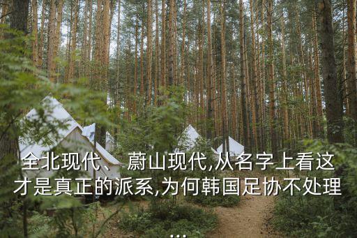蔚山是哪個球隊,韓國現(xiàn)代汽車奪得金球獎最佳男足球員