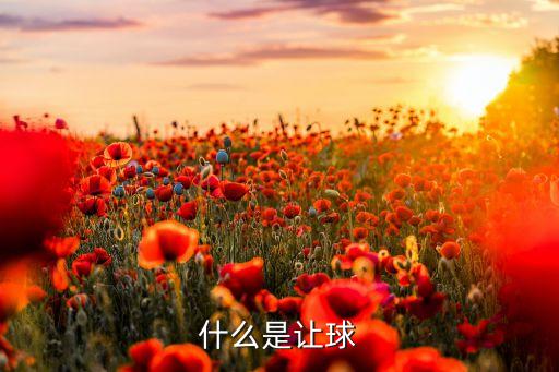 哪個隊(duì)是讓球方,讓球是一種賭博國足輸給業(yè)余球隊(duì)