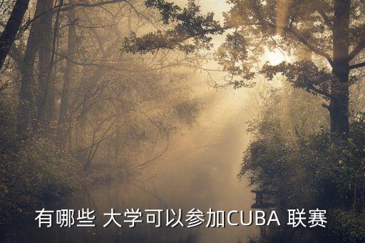老虎大學在哪個聯(lián)賽,中國大學生籃球聯(lián)賽:東南大學分三級排名