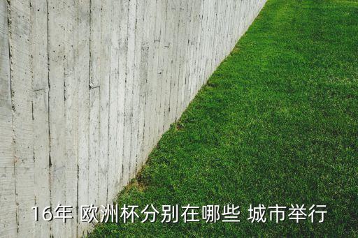 歐洲杯在法國哪個城市,葡萄牙1-0戰(zhàn)勝法國奪歐洲杯冠軍