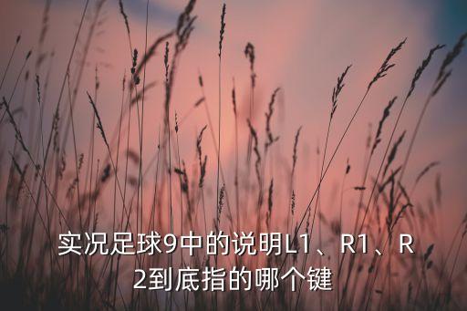  實況足球9中的說明L1、R1、R2到底指的哪個鍵