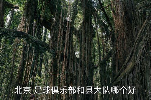 足球即時(shí)比分哪個(gè)網(wǎng)好,中超聯(lián)賽:北京國安點(diǎn)球不敵對(duì)手