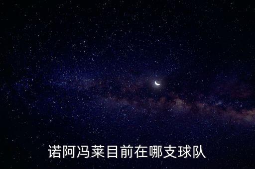 nba諾阿 是哪個國家的,nba球員諾亞馮萊