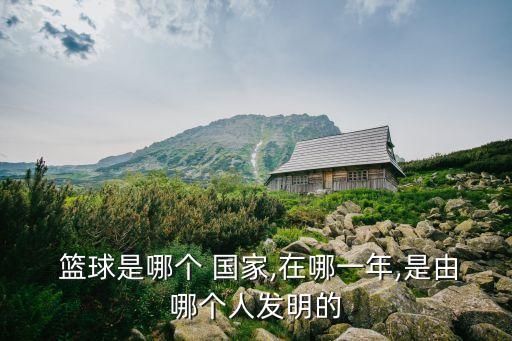 籃球國王是哪個國家,國王team是nba早期職業(yè)籃球隊