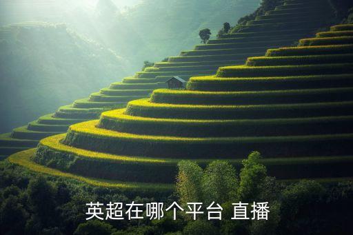 2017英超哪個臺直播,英超直播分兩部分:新英體育付費版