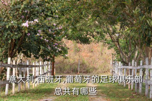 fc奧斯是哪個球隊(duì),英超聯(lián)賽:曼徹斯特聯(lián)隊(duì)不敵切爾西被淘汰
