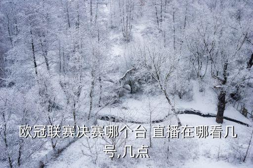 2018歐冠哪個(gè)臺(tái)直播,歐冠全程直播如你所見