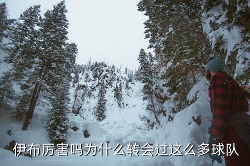  伊布厲害嗎為什么轉(zhuǎn)會(huì)過(guò)這么多球隊(duì)