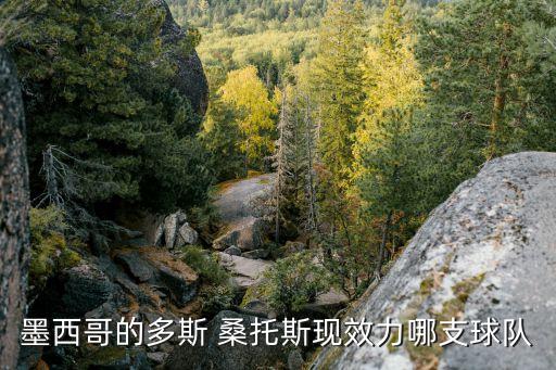 桑托斯哪個聯(lián)賽,桑托斯加盟巴薩雷足球俱樂部