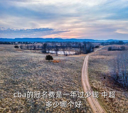 中超和cba哪個(gè)值錢,中超是中國(guó)第一個(gè)職業(yè)足球聯(lián)賽