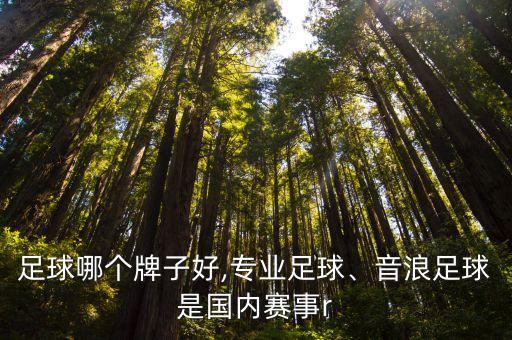 國產(chǎn)足球哪個牌子好,專業(yè)足球、音浪足球是國內(nèi)賽事r