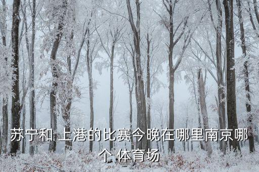 中超上港在哪個(gè)體育場,上海上港拿下中超聯(lián)賽冠軍