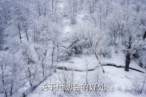 體育會(huì)和競技會(huì)哪個(gè)強(qiáng),為什么要舉辦運(yùn)動(dòng)會(huì)?