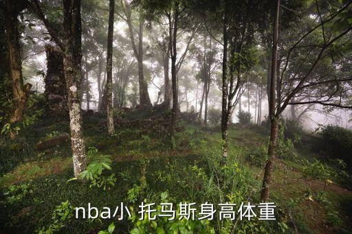 小托馬斯在哪個隊,小刺客賽亞托馬斯效力籃球隊