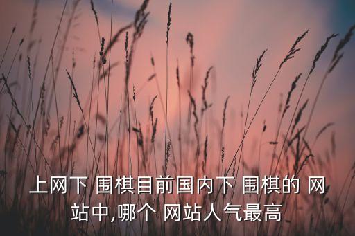 上網(wǎng)下 圍棋目前國(guó)內(nèi)下 圍棋的 網(wǎng)站中,哪個(gè) 網(wǎng)站人氣最高