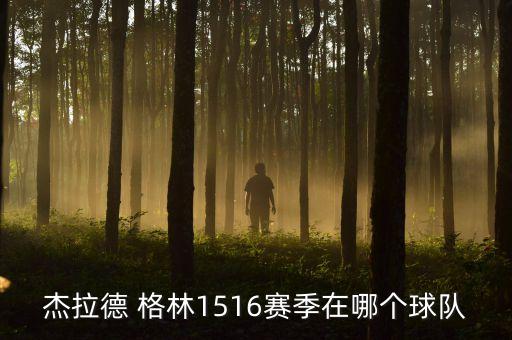 格林在過(guò)哪個(gè)隊(duì),nba球星杰夫格林和安德魯霍爾德效力