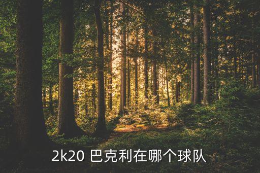 2k20 巴克利在哪個球隊(duì)