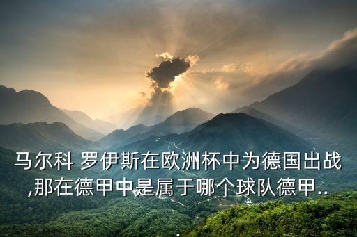 馬爾科 羅伊斯在歐洲杯中為德國出戰(zhàn),那在德甲中是屬于哪個球隊德甲...