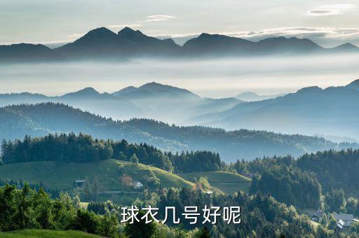 球衣號碼選哪個,籃球球衣號碼在國際上作為4-15號使用