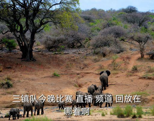 哪個頻道中超直播回放,直播觀賽:恒大主場迎戰(zhàn)大連超市