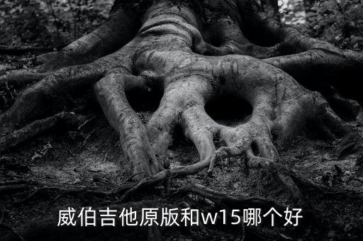 馬塞洛15和W哪個好,新手不用糾結(jié)款式買一個喜歡的就行!