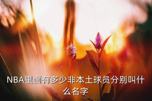 伊高斯是哪個(gè)球隊(duì),托尼·帕克是第一個(gè)來自歐洲的國際球員