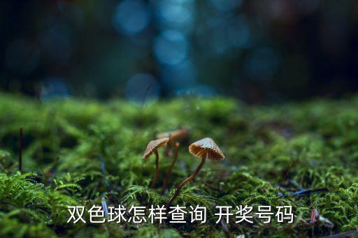 在哪個(gè)網(wǎng)買雙色球開獎(jiǎng)結(jié)果,如何查詢雙色球開獎(jiǎng)結(jié)果?