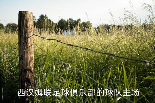 西漢姆聯(lián)是哪個(gè)隊(duì),英超聯(lián)賽:西漢富勒姆聯(lián)隊(duì)積36分排名第8