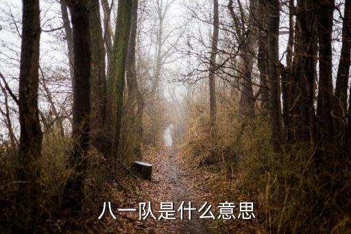 八一男籃是哪個省的,八一男籃是老牌籃球隊主場是中國贊助城市