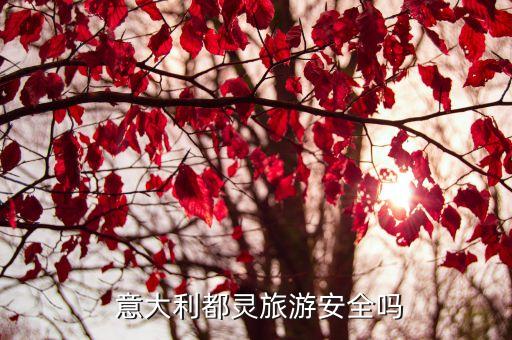  意大利都靈旅游安全嗎
