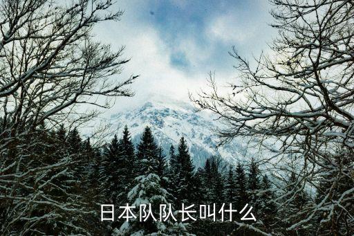 日本隊(duì)隊(duì)長(zhǎng)叫什么