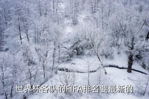 世界杯各隊(duì)的FIFA排名要最新的