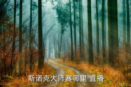 2018斯諾克英錦賽哪個(gè)臺(tái)直播,斯諾g大師賽:四強(qiáng)出爐