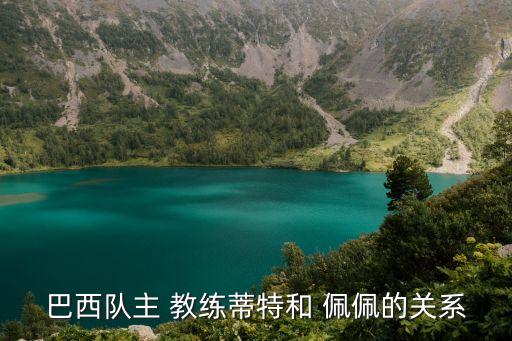 佩佩皇馬哪個教練買的,非官方數據:佩佩是皇馬后方重要屏障
