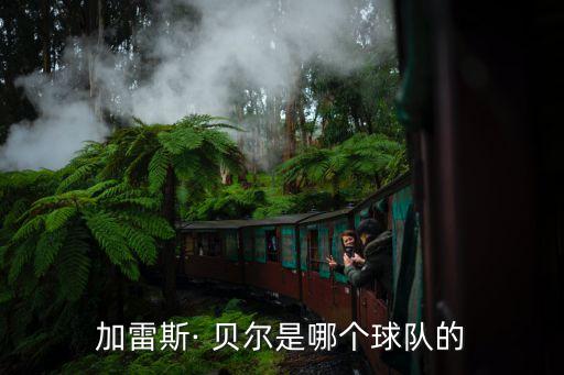 加雷斯· 貝爾是哪個(gè)球隊(duì)的