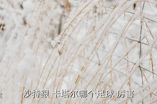 卡塔爾和國足哪個(gè)厲害,國足2戰(zhàn)勝卡塔爾1小組第五出線