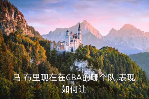 馬布里在cba哪個(gè)球隊(duì),斯蒂芬·馬布里中國籃球隊(duì)領(lǐng)軍